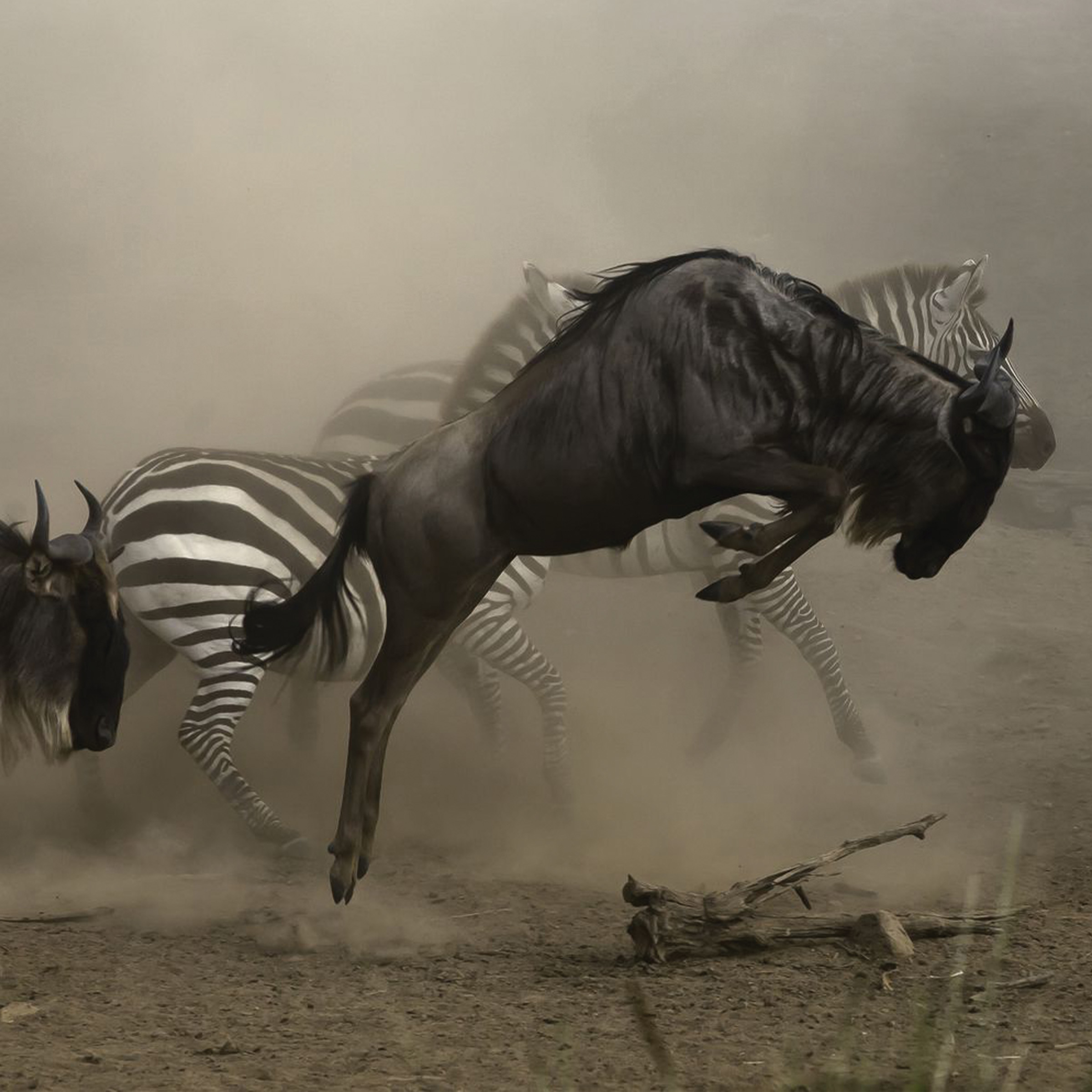 Serengeti National Park