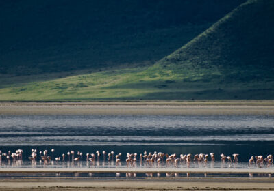 6-Day Serengeti Migration Safari | Tarangire, Ngorongoro |