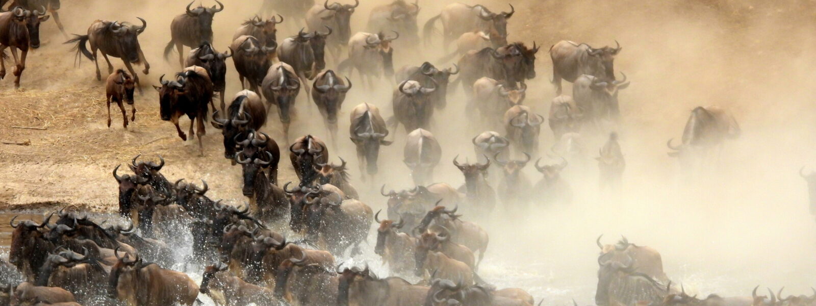 Serengeti National Park