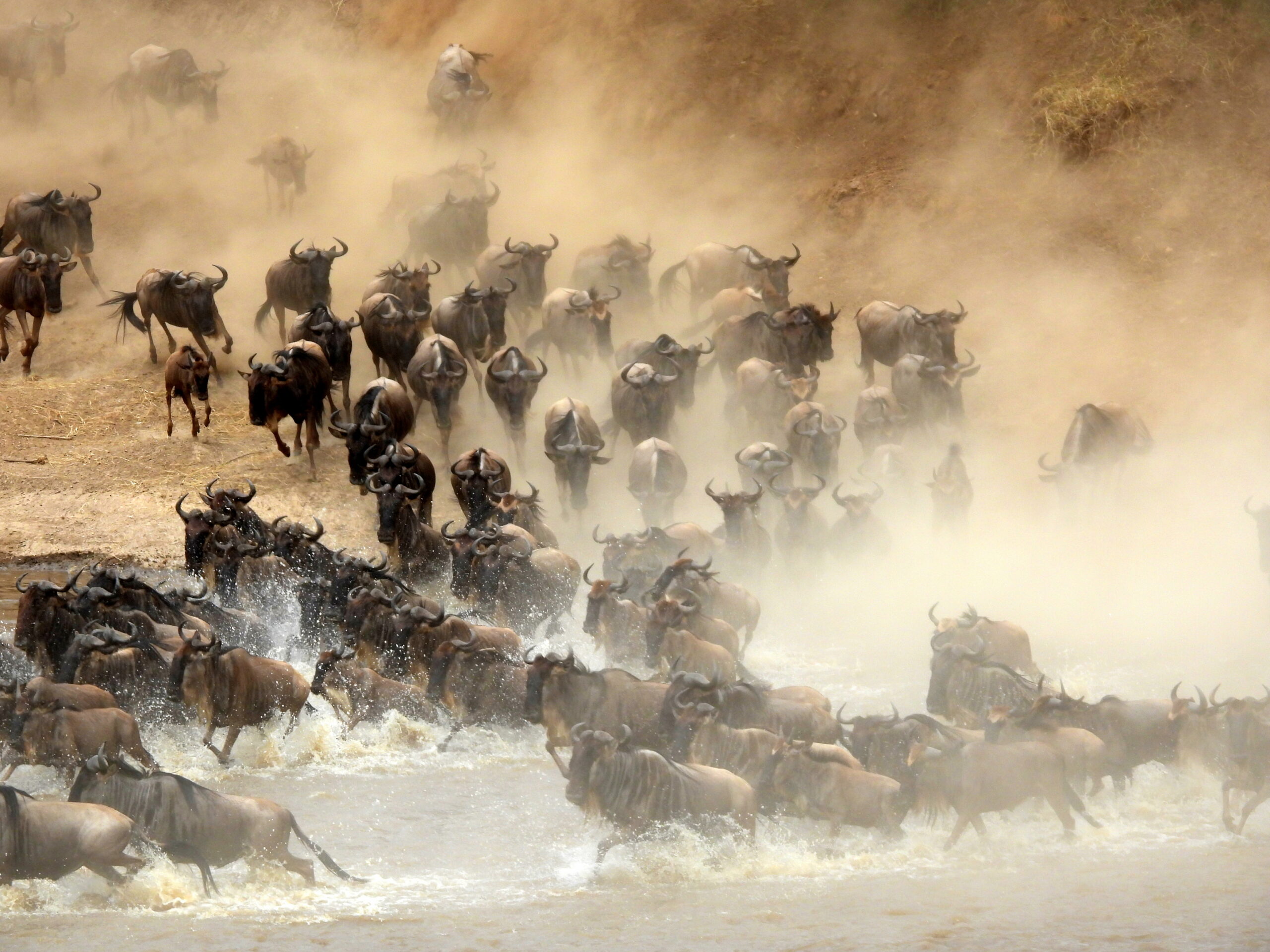 Serengeti National Park
