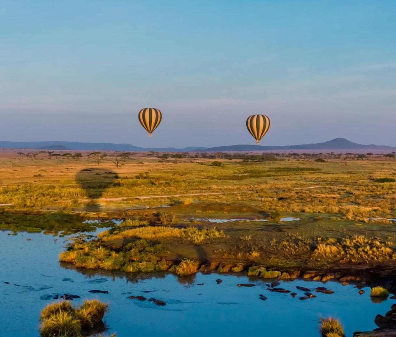 Serengeti Hot Air Balloon (1)