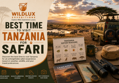 Best Time to Visit Tanzania for Safari