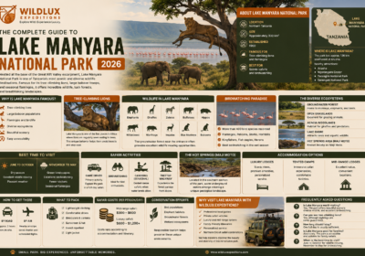 Complete Guide to Lake Manyara National Park (2026)