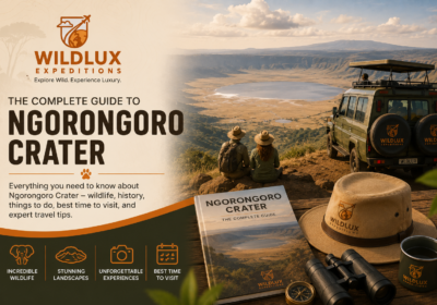 Complete Guide to Ngorongoro Crater