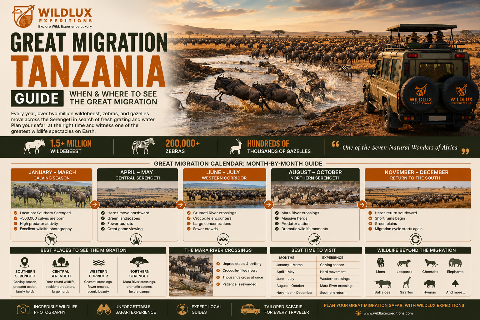 Great Migration Tanzania Guide: When and Where to See the Great Migration