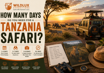 How Many Days Do You Need for a Tanzania Safari?