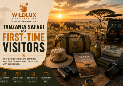 Tanzania Safari for First-Time Visitors