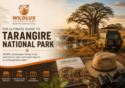 Ultimate Guide to Tarangire National Park