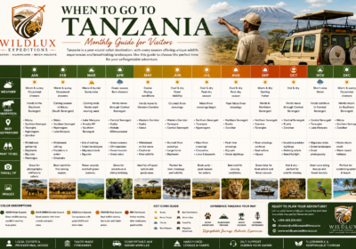 Best Time to Visit Tanzania: A Month-by-Month Safari & Travel Guide